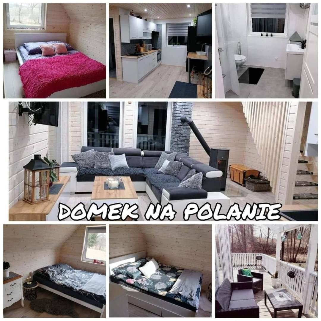 Na Polanie Kamienicki Mlyn